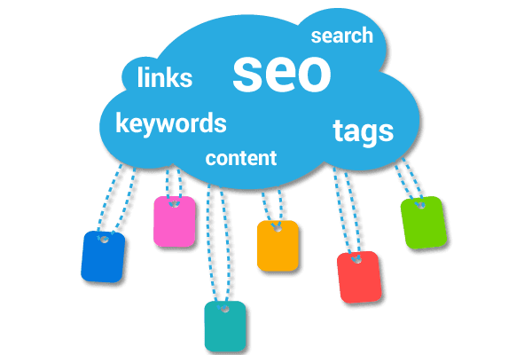 SEO Dashboard Mississauga