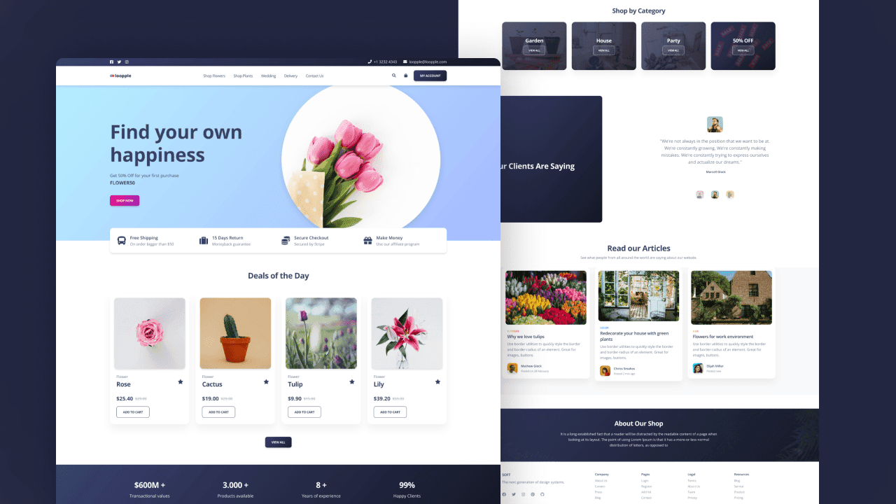 Ecommerce Stores