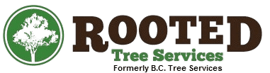 rooted